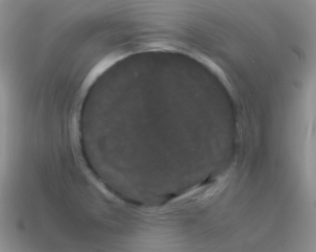 X0000113621373200910161942