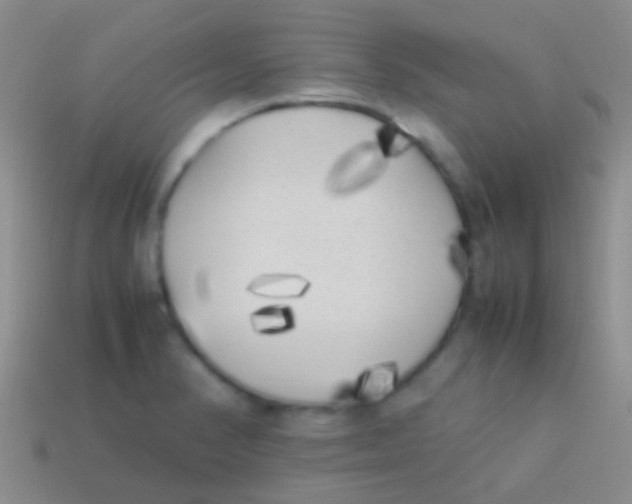 X0000113621374200910161942
