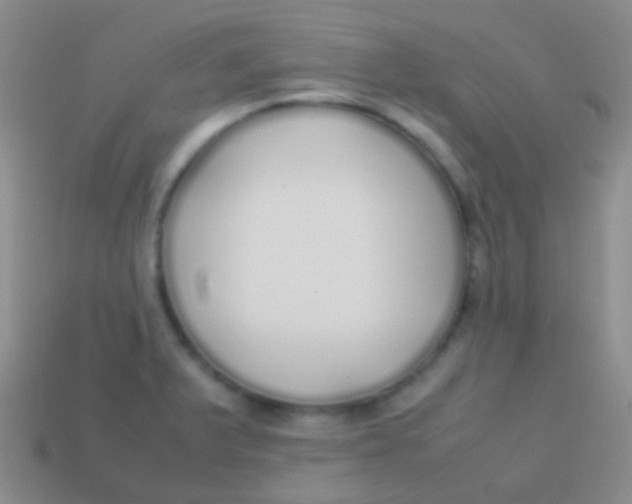 X0000113621375200910161942