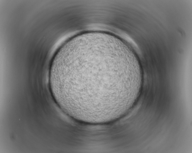 X0000113621376200910161942