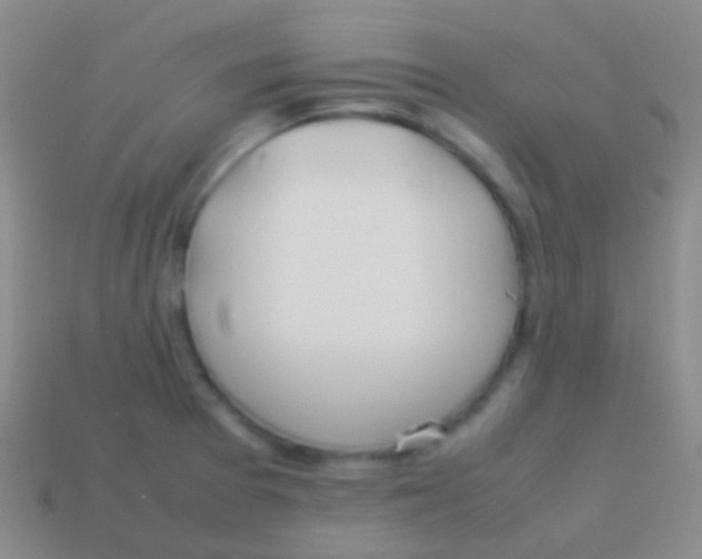 X0000113621377200910161942