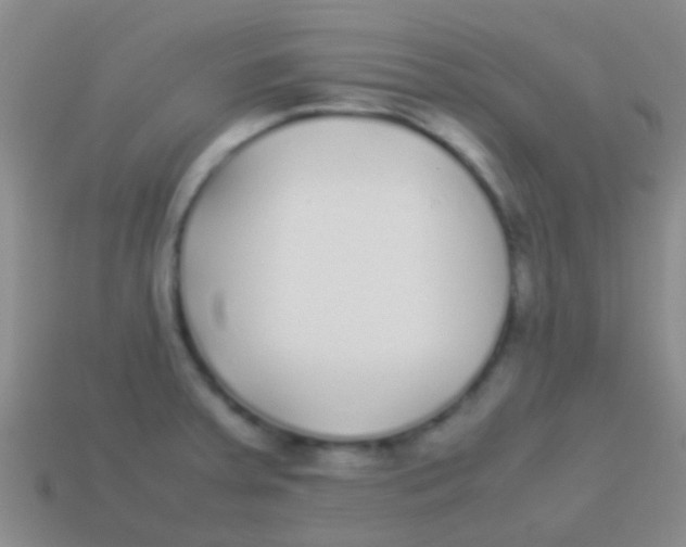 X0000113621379200910161942