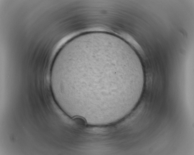 X0000113621380200910161942