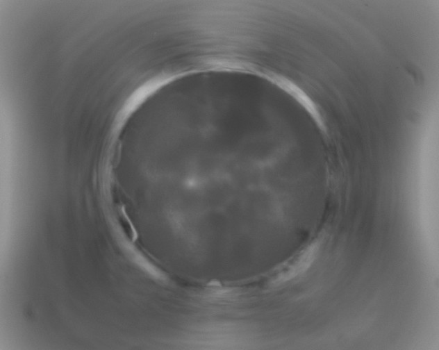 X0000113621381200910161942