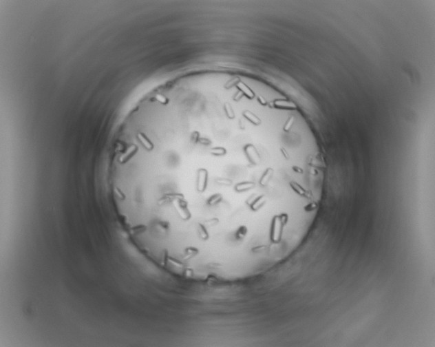 X0000113621382200910161942