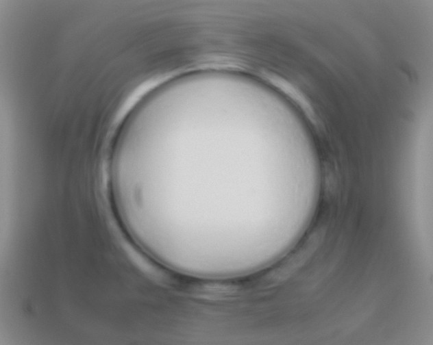 X0000113621383200910161942