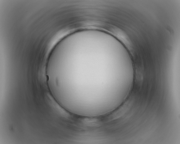 X0000113621384200910161942