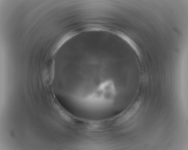 X0000113621385200910161942
