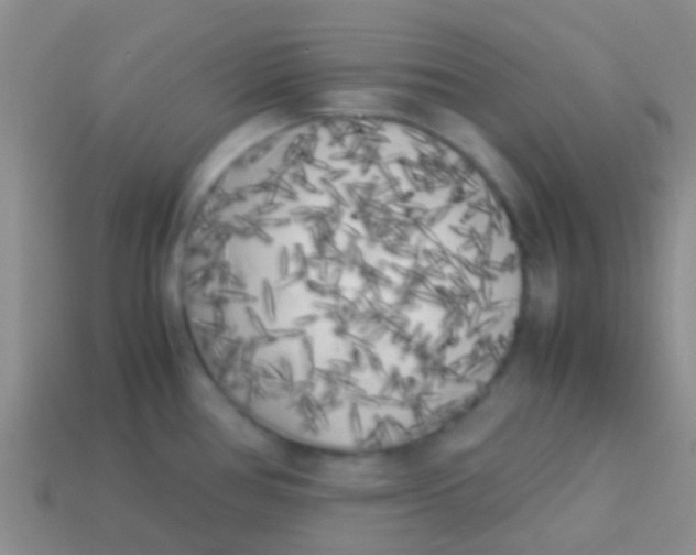 X0000113621386200910161942