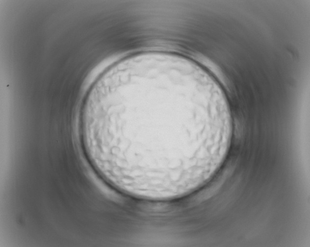 X0000113621387200910161942