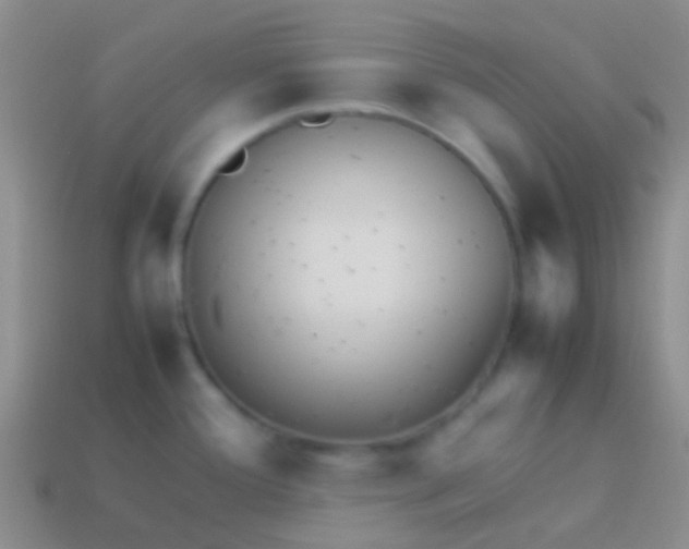 X0000113621388200910161942
