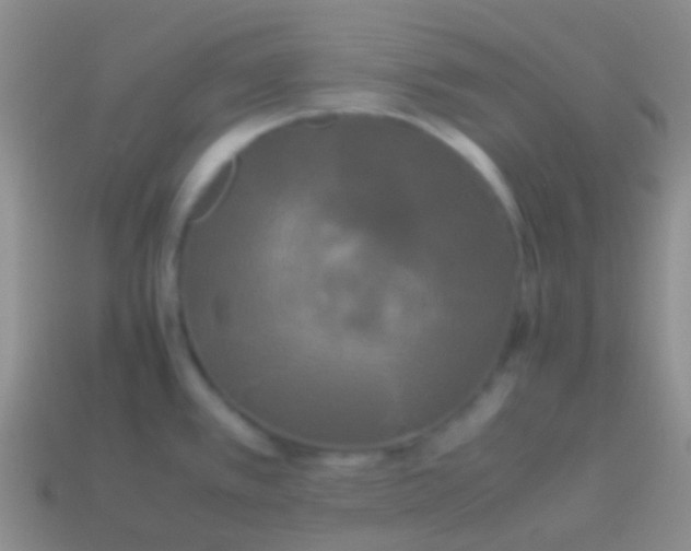 X0000113621389200910161942