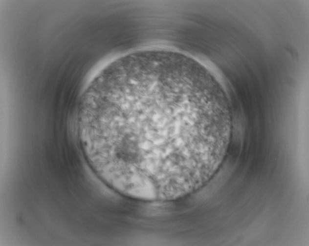 X0000113621390200910161942