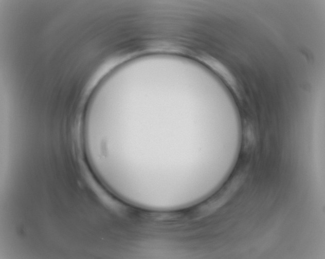 X0000113621391200910161942