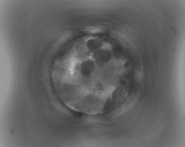 X0000113621393200910161942