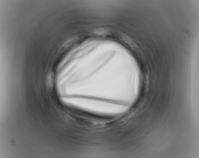 X0000113621394200910161942
