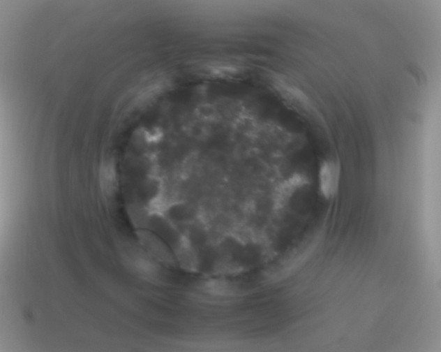 X0000113621395200910161942