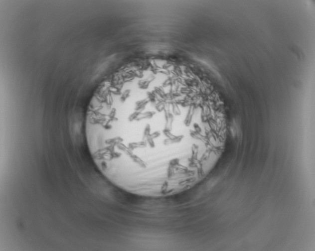 X0000113621396200910161942