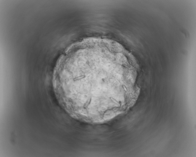 X0000113621397200910161942