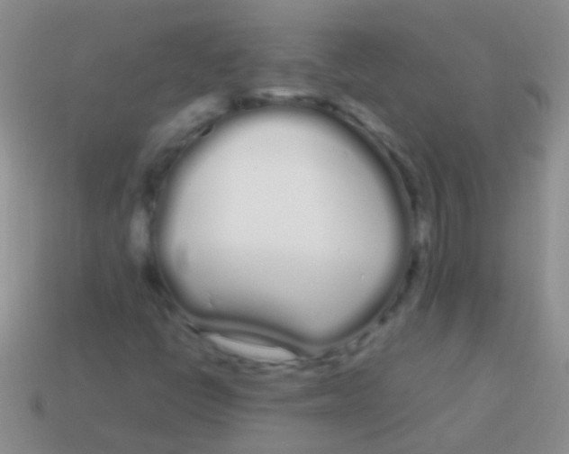 X0000113621398200910161942