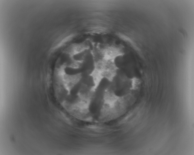 X0000113621399200910161942