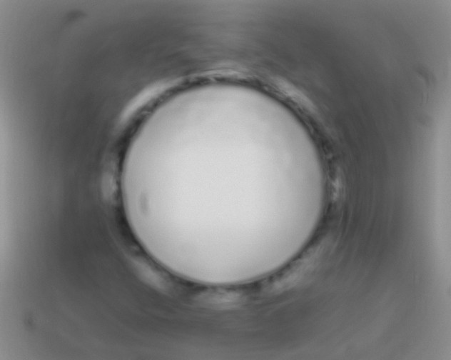 X0000113621400200910161942
