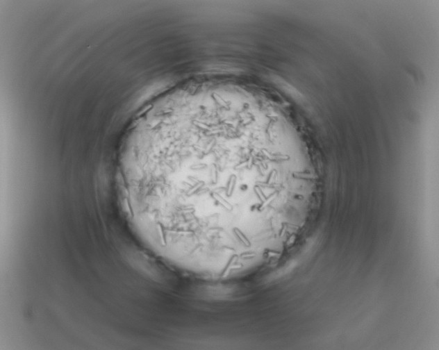 X0000113621401200910161942