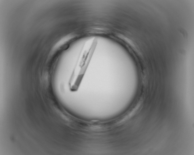 X0000113621402200910161942