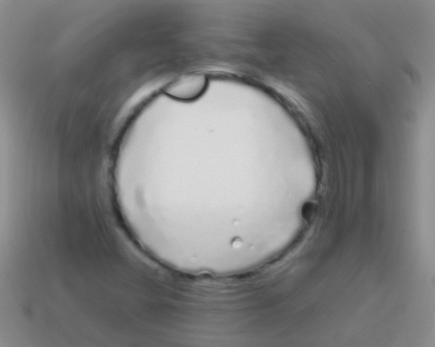 X0000113621404200910161942