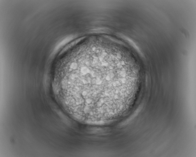 X0000113621405200910161942