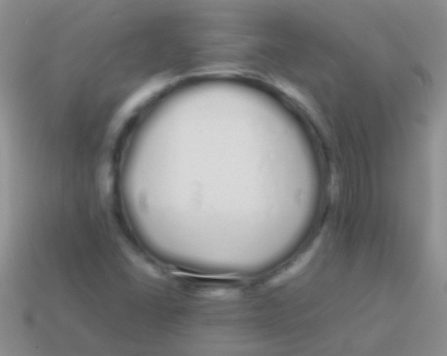 X0000113621406200910161942