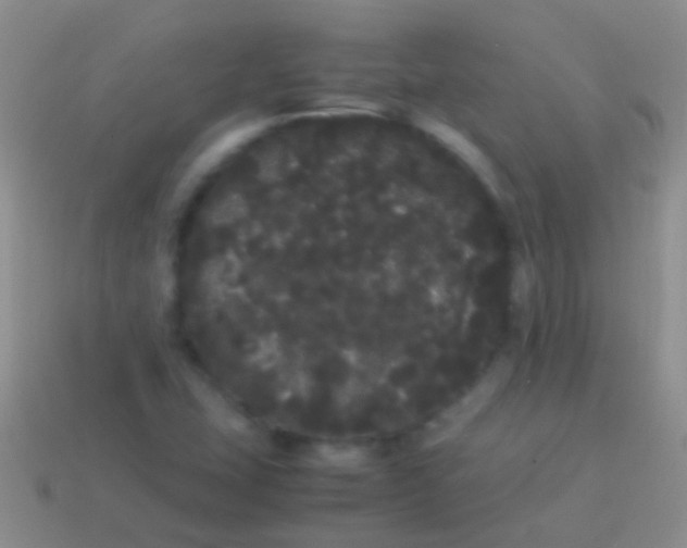 X0000113621407200910161942