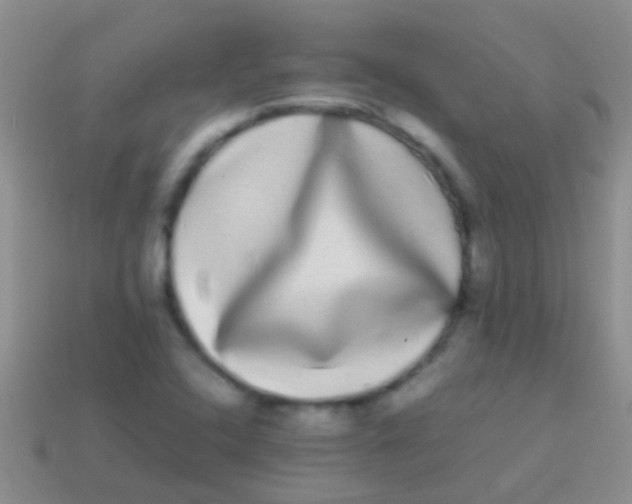 X0000113621408200910161942