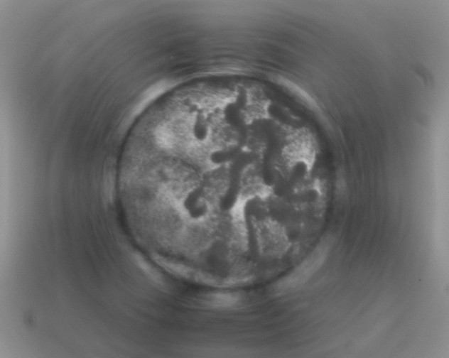X0000113621409200910161942