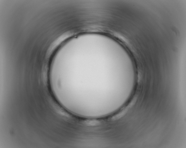 X0000113621410200910161942