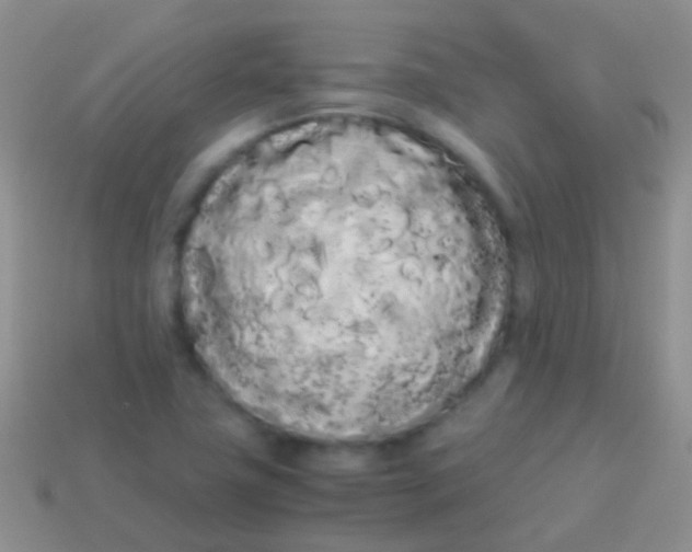 X0000113621411200910161942