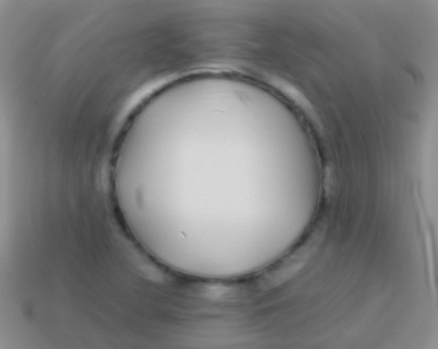 X0000113621412200910161942