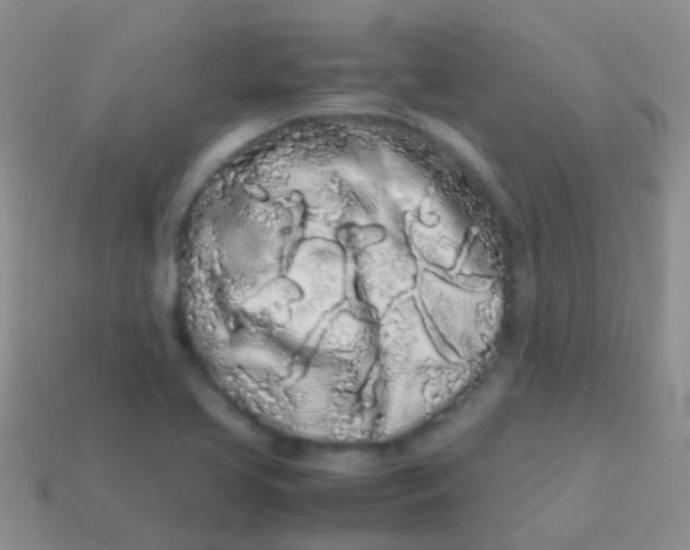 X0000113621413200910161942