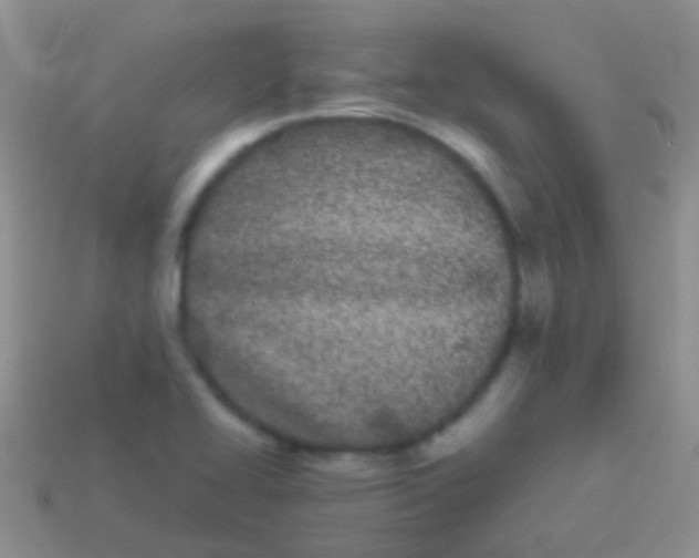 X0000113621414200910161942
