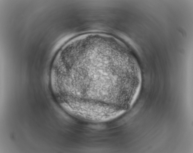 X0000113621415200910161942
