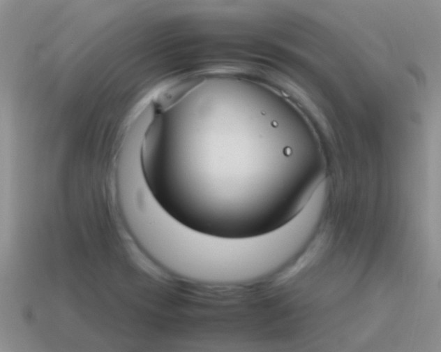 X0000113621417200910161942