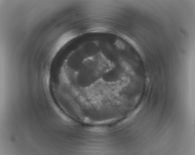 X0000113621418200910161942