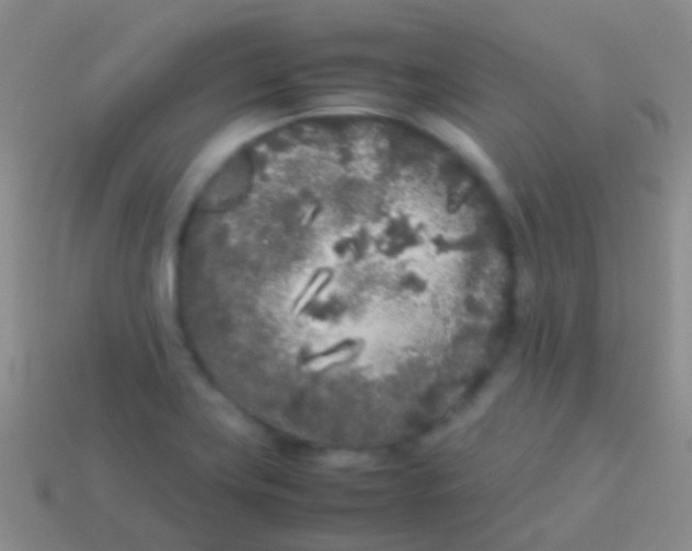 X0000113621419200910161942