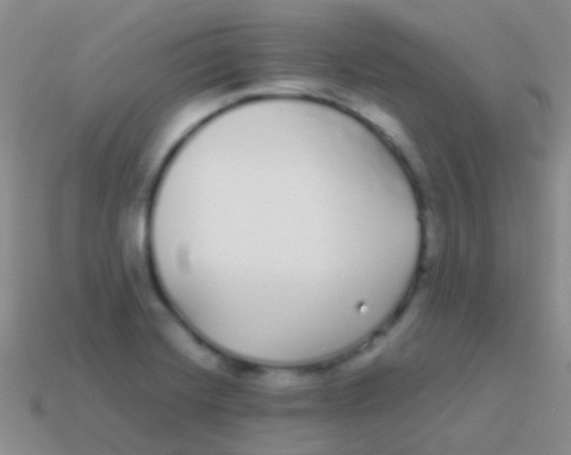 X0000113621420200910161942