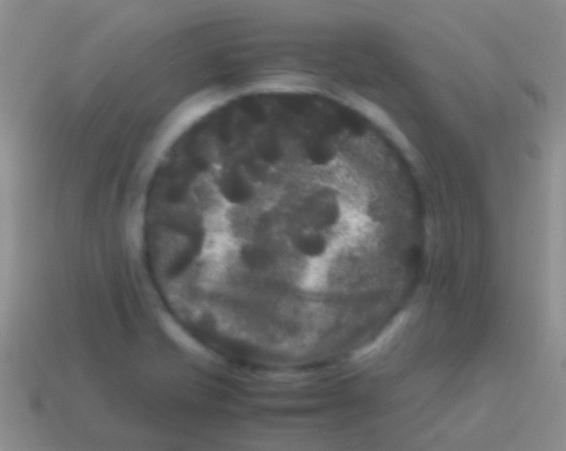 X0000113621421200910161942