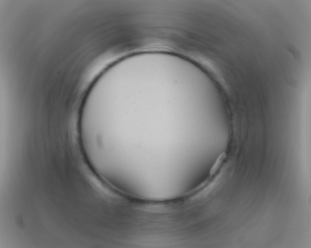 X0000113621422200910161942