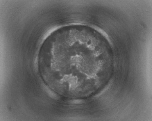 X0000113621423200910161942