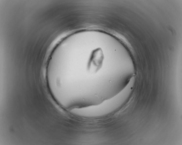 X0000113621424200910161942