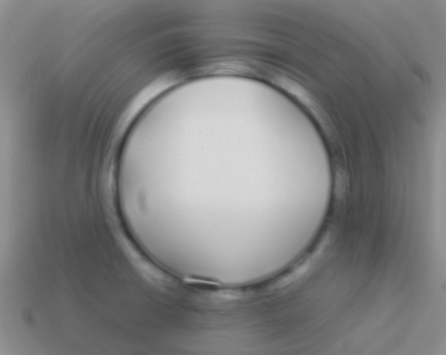 X0000113621426200910161942