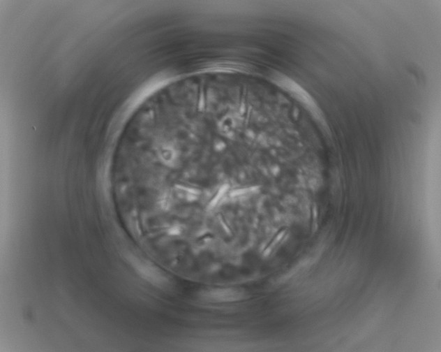 X0000113621427200910161942